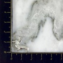 Dije Perro Salchicha