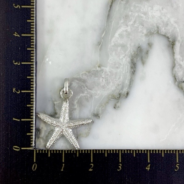 Dije Estrella de Mar Lucian