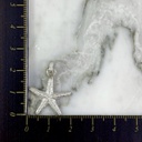 Dije Estrella de Mar Lucian