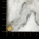 Dije Virgen Milagrosa