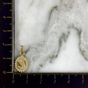 Dije Halo Brillantes Rostro De La Virgen