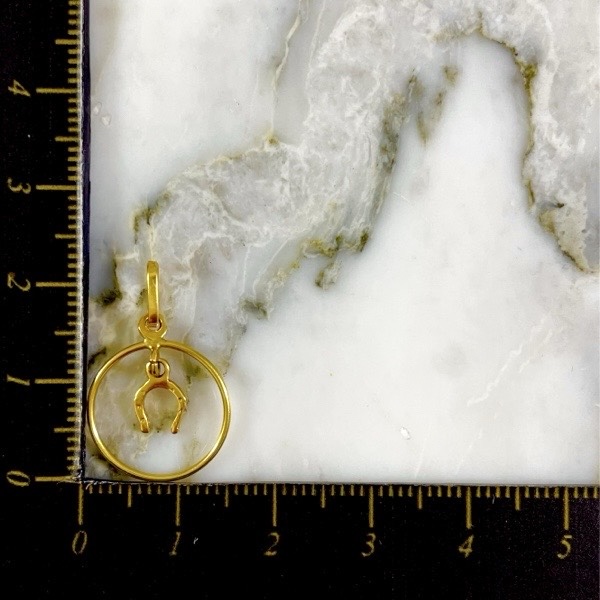 Dije Herradura en Aro