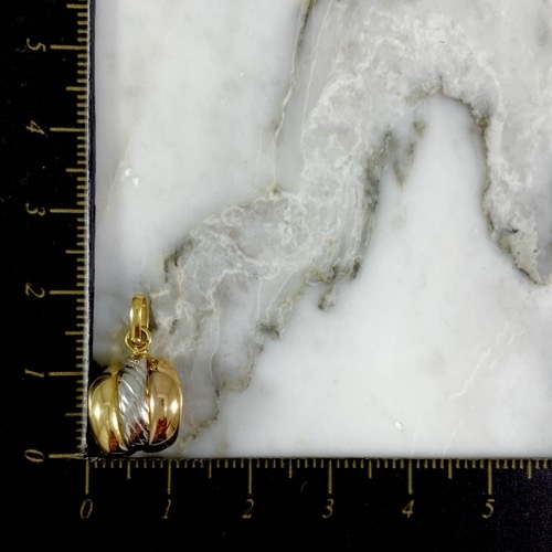 Dije Concha Tricolor