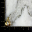 Dije Concha Tricolor