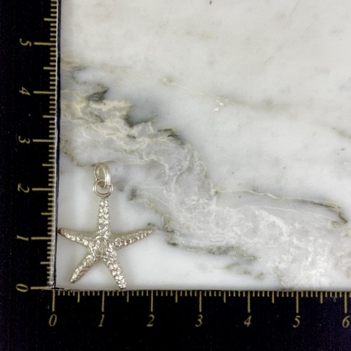 Dije Estrella de Mar Jax