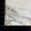 Dije Estrella de Mar Jax