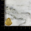 Topo Concha de Vieira