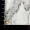 Topo Rosca Delfin Mateado