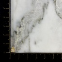 Topo Rosca Osos Brillantes