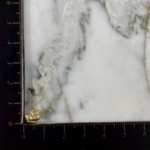 Topo Rosca Hipopotamos