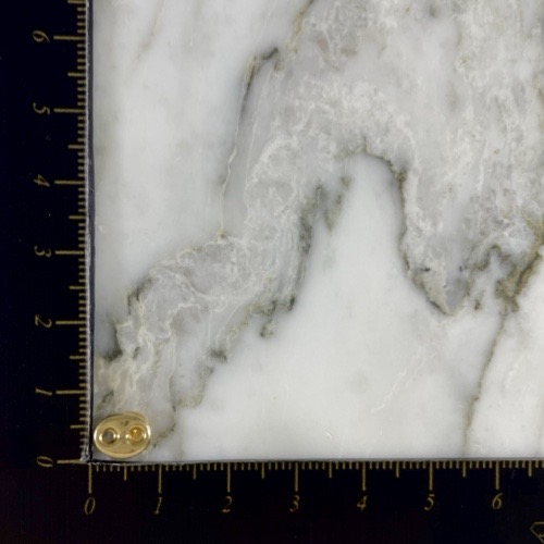 Topo Rosca Gucci Mediano