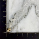 Topo Rosca Luna al Vacio