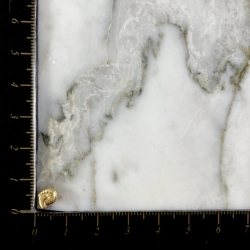 Topo Rosca Barefoot Sutil