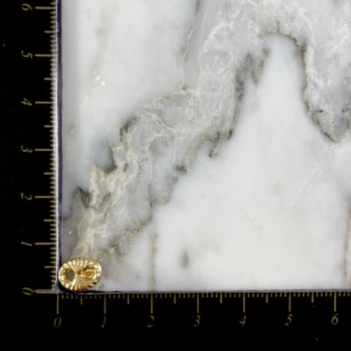 Topo Rosca Gucci Tallado Ligero