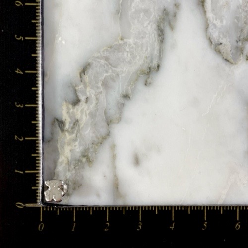 Topo Rosca Oso Tous Fino