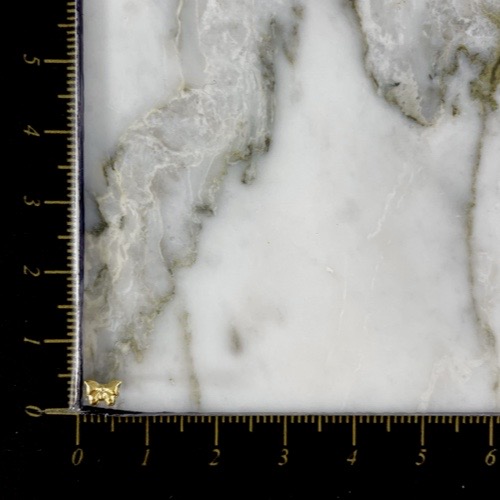 Topos Rosca Mariposa Atlas