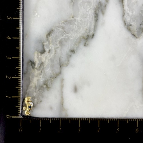 Topo Rosca Caballito De Mar Brillante