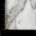 Topo Rosca Caballito De Mar Brillante