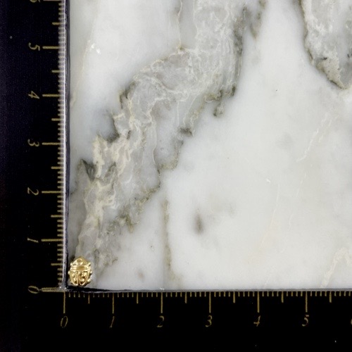 Topo Rosca Mariquita Radiante Sutil