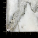 Topo Rosca Circon Circle Elegante