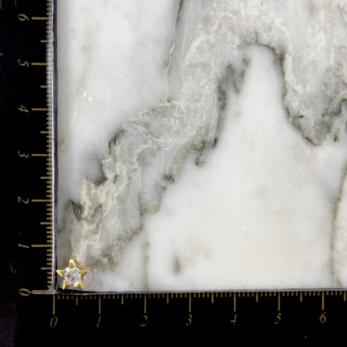 Topo Estrella Brillante