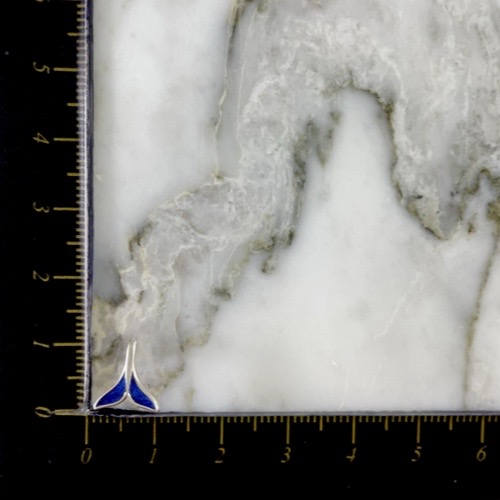 Topo Cola de Ballena