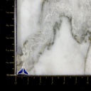 Topo Cola de Ballena