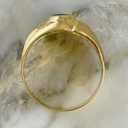 Anillo Onix Mateado Capas