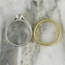 Pisargolla De Canal Clasico