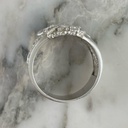 Anillo San Miguel Arcangel