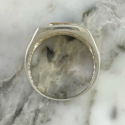 Anillo Eco de Palmera