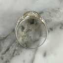 Anillo Centinela Nocturno