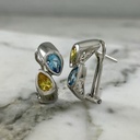 Precious Drops Earring