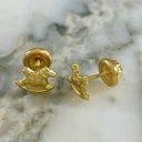 Topo Rosca Wood Horse