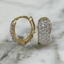 Sparkly Hoop Earring