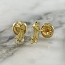 Shooting Star Screw-Back Studs