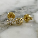 Diamond Carnation Studs