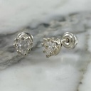 Heart Crown Screw-Back Stud Earring