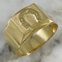 Anillo Herradura Mate